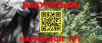 крисы Кандалакша